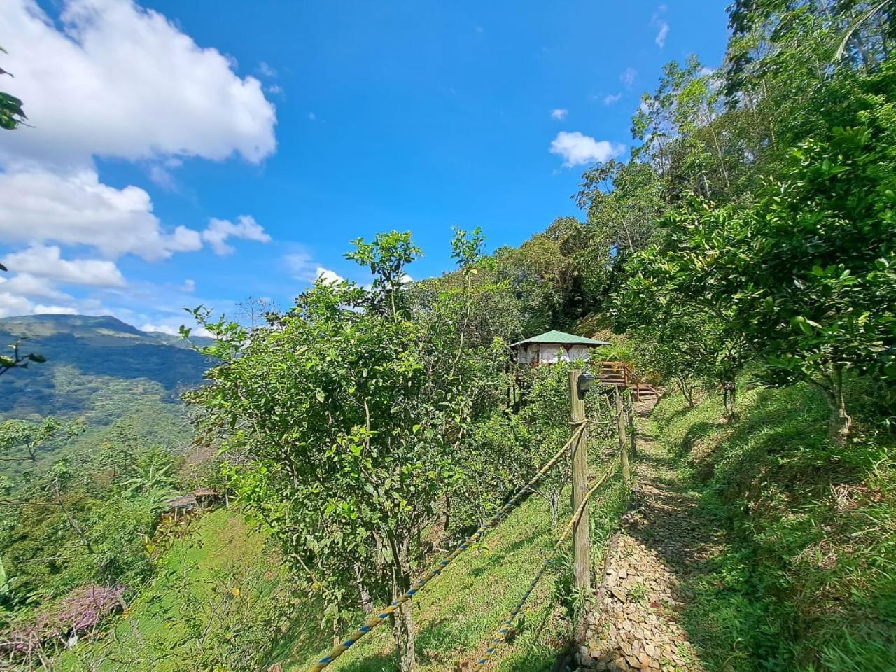 Tambo Eco Hotel 拉维加 外观 照片